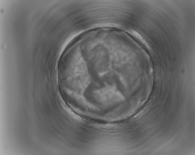 X0000074341140200609152115