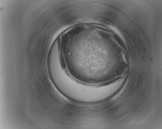 X0000074341141200609152115