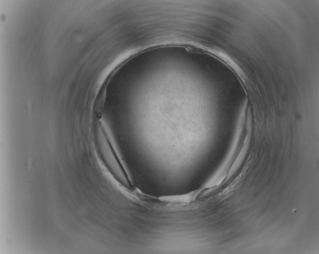 X0000074341142200609152115