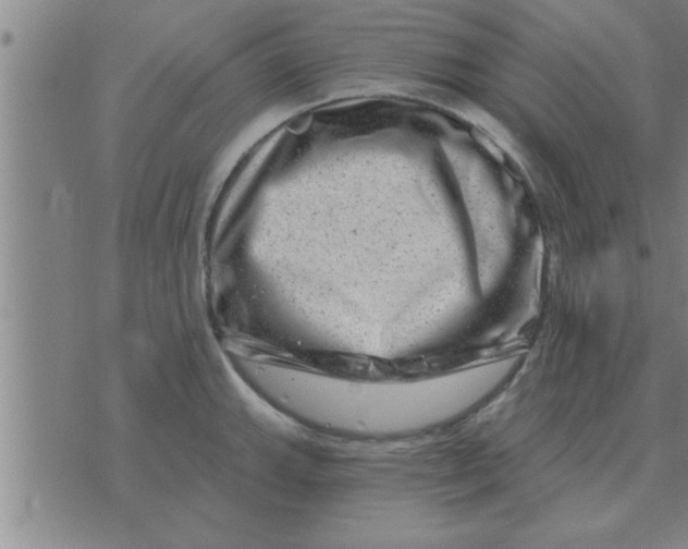 X0000074341143200609152115