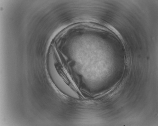 X0000074341144200609152115