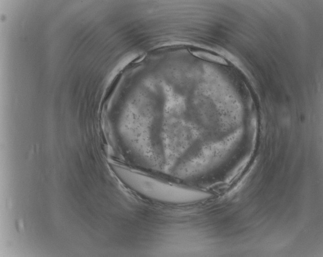 X0000074341145200609152115