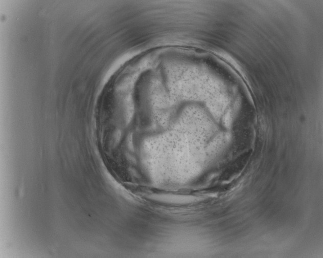 X0000074341147200609152115