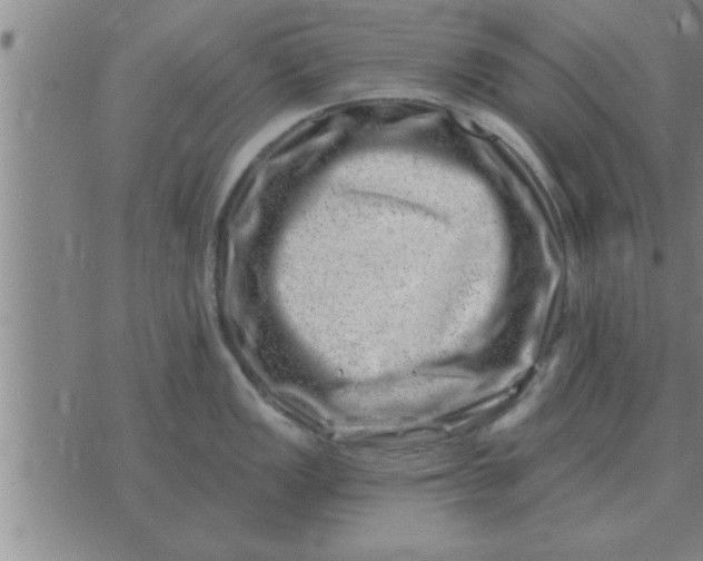 X0000074341149200609152115