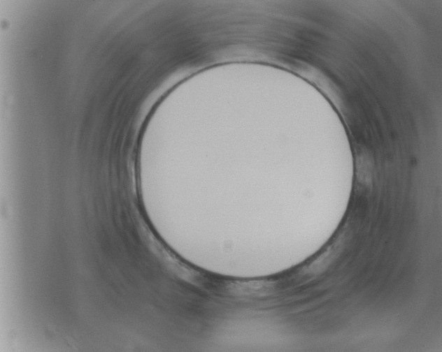 X0000074341150200609152116