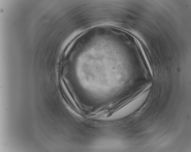 X0000074341151200609152116