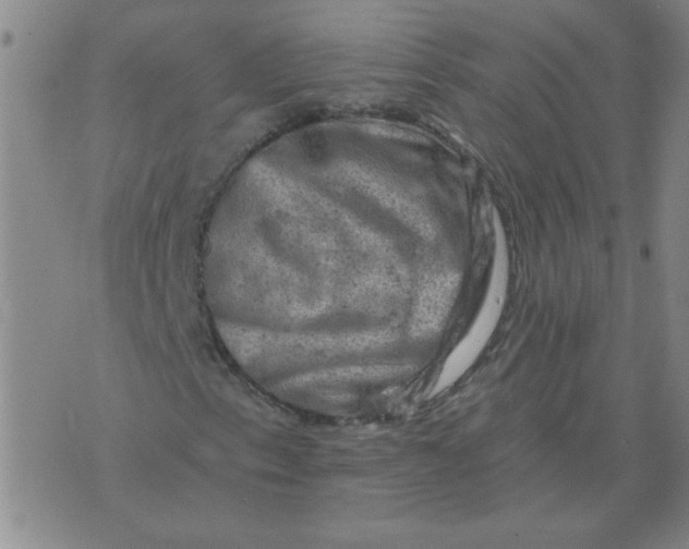 X0000074341153200609152115