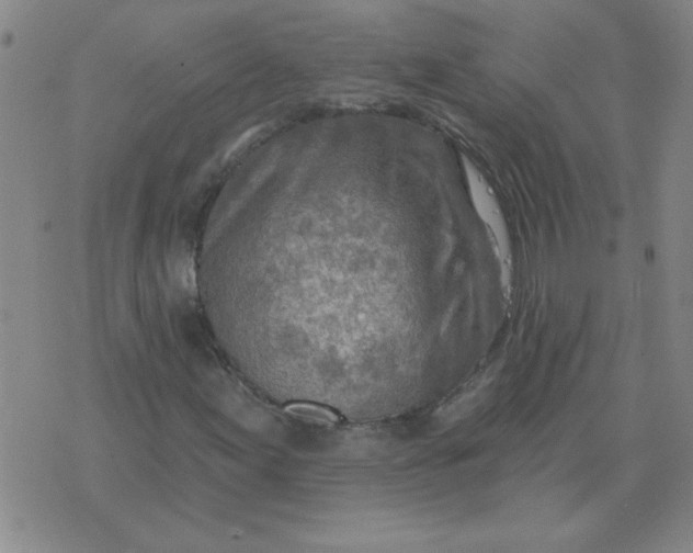 X0000074341155200609152115