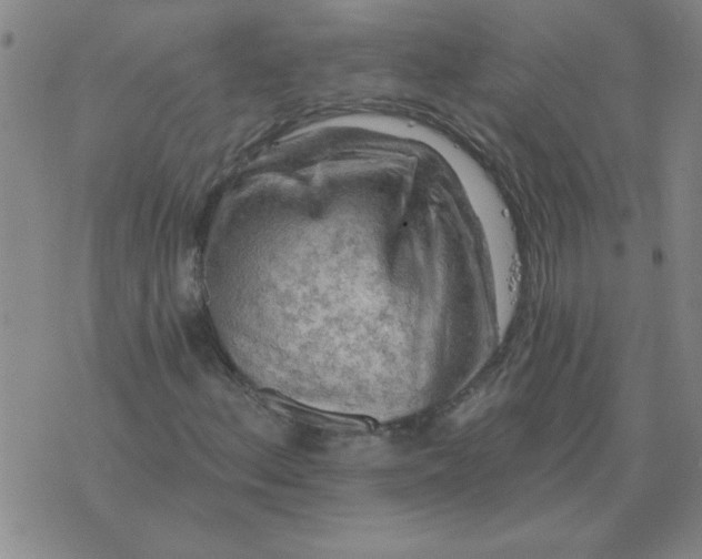 X0000074341156200609152115