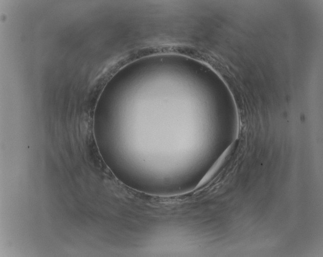 X0000074341157200609152115