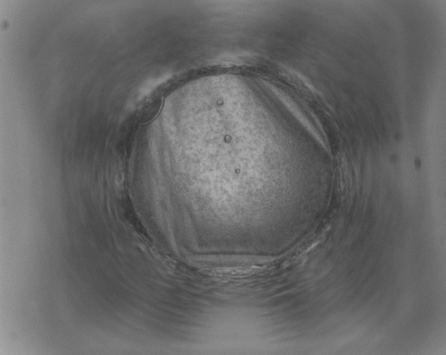 X0000074341158200609152115