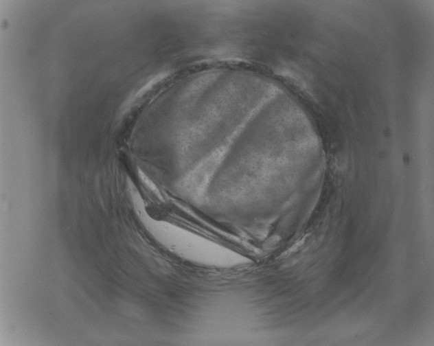 X0000074341159200609152115