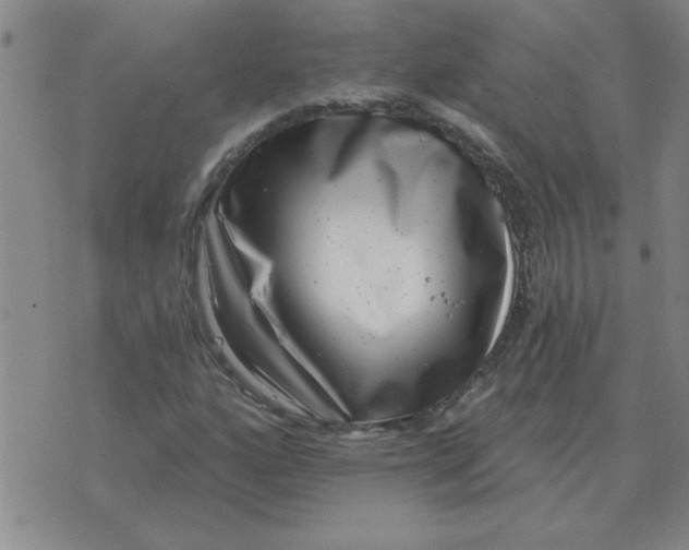 X0000074341160200609152115