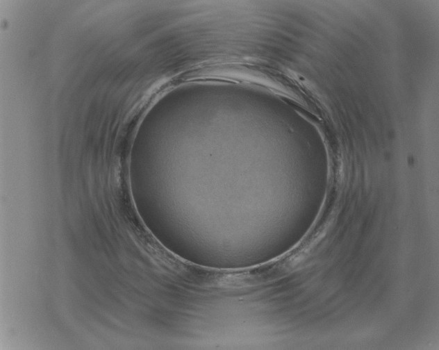 X0000074341161200609152115