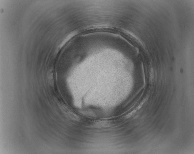 X0000074341162200609152115