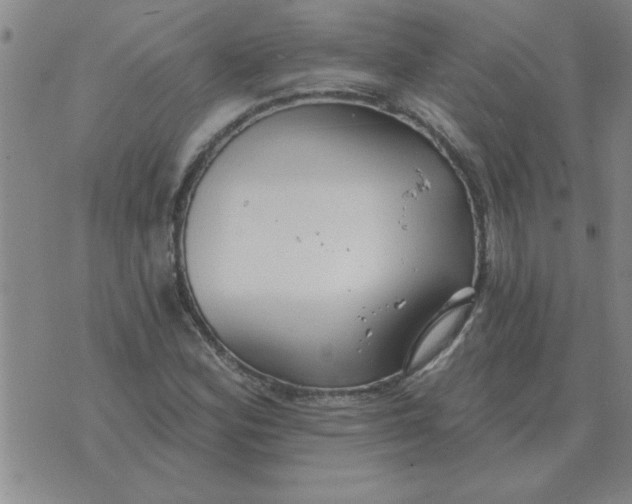 X0000074341164200609152115