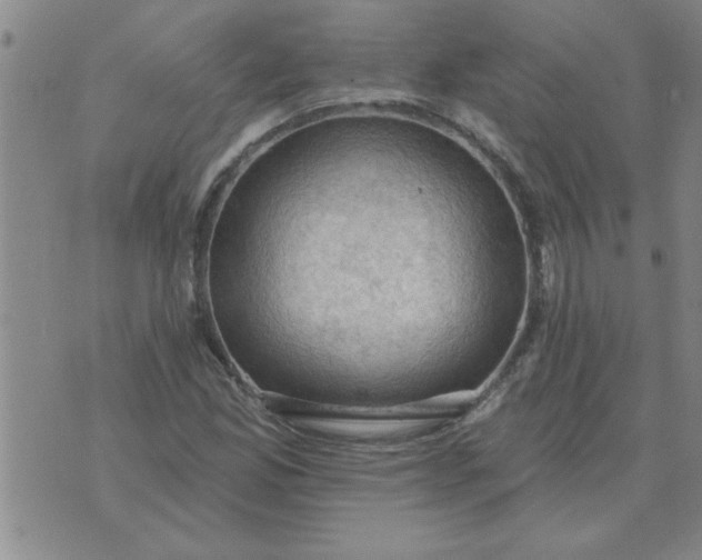 X0000074341165200609152115