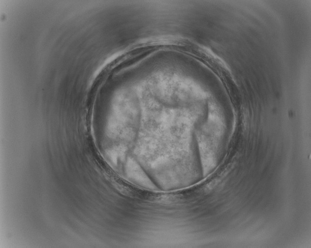 X0000074341166200609152115