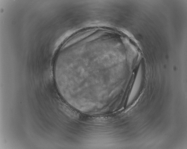 X0000074341167200609152115