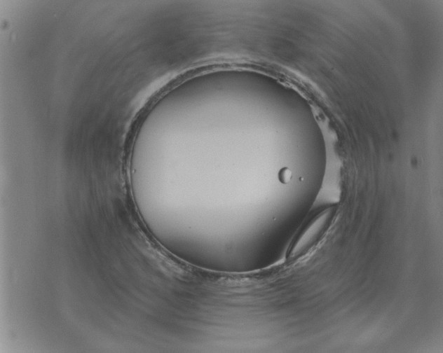 X0000074341168200609152114