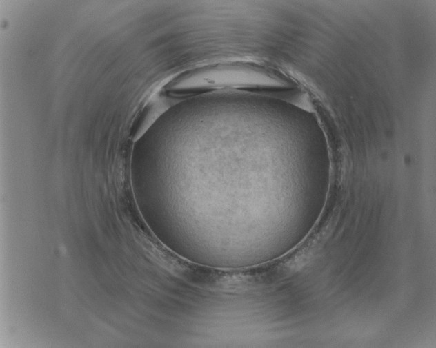 X0000074341169200609152114