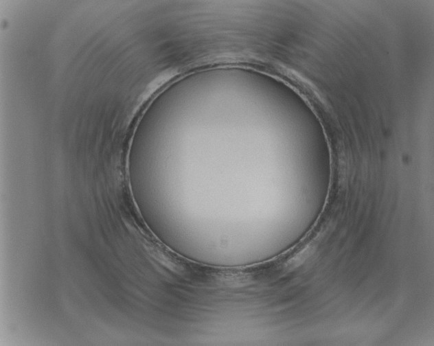 X0000074341170200609152114