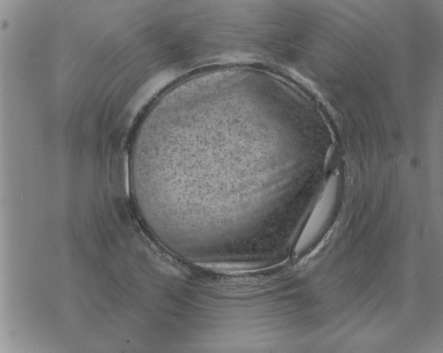 X0000074341171200609152114