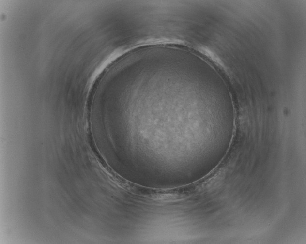 X0000074341173200609152114