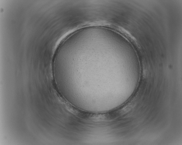 X0000074341174200609152114