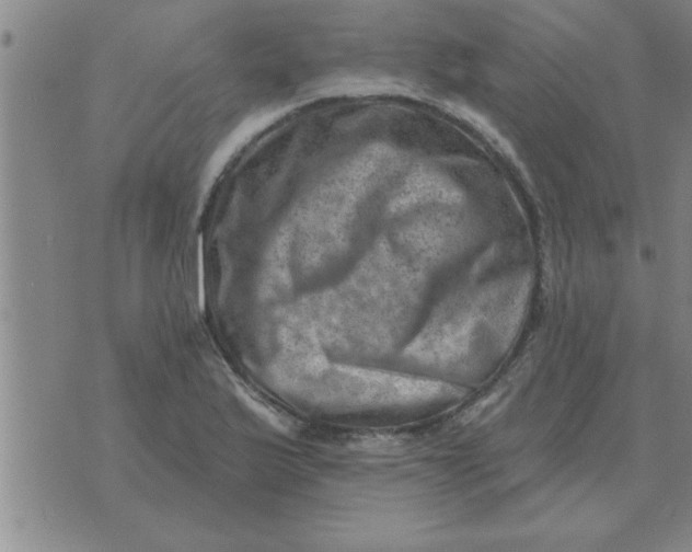 X0000074341175200609152114