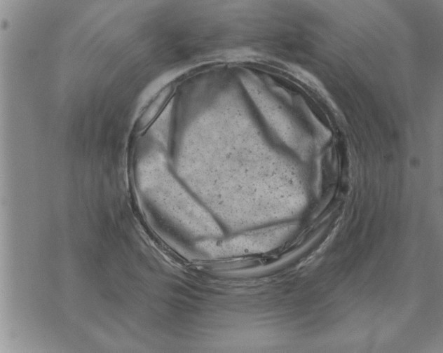 X0000074341176200609152114