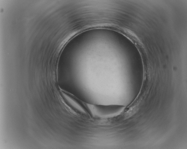 X0000074341177200609152114