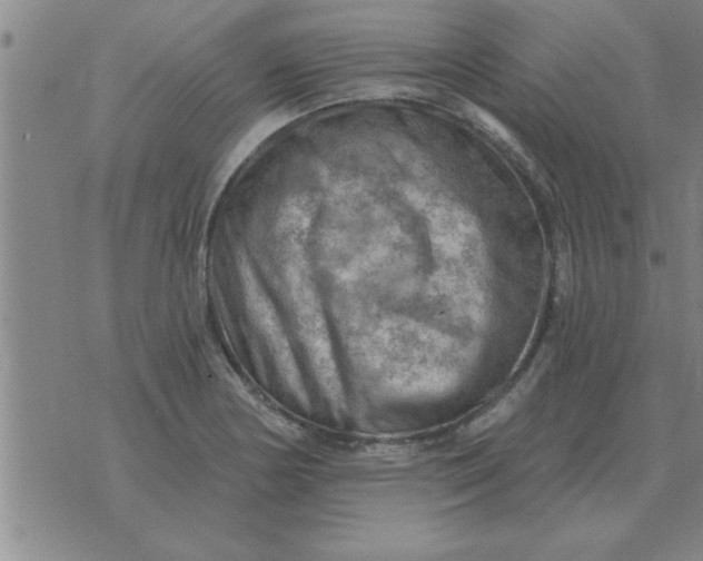 X0000074341178200609152114