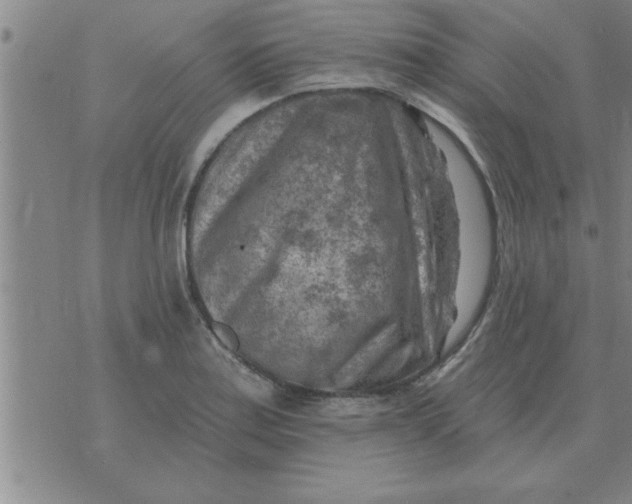 X0000074341179200609152114