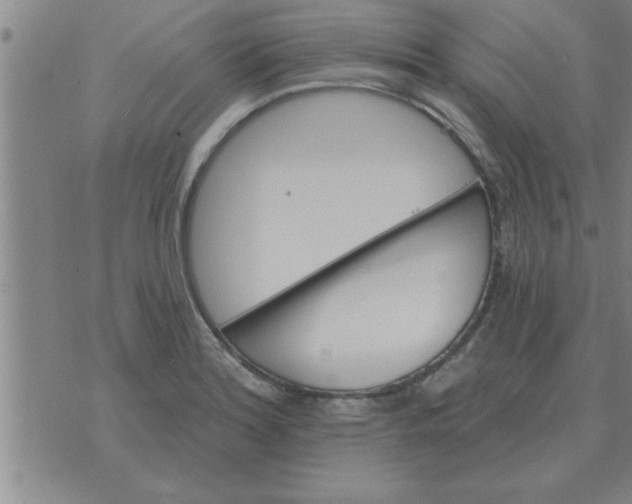 X0000074341180200609152114