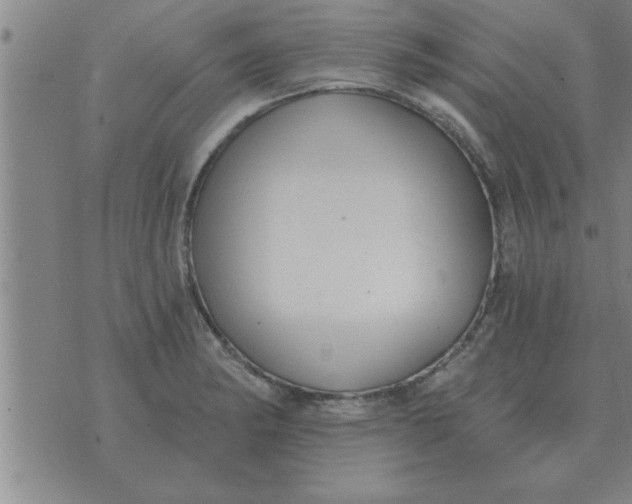 X0000074341182200609152114