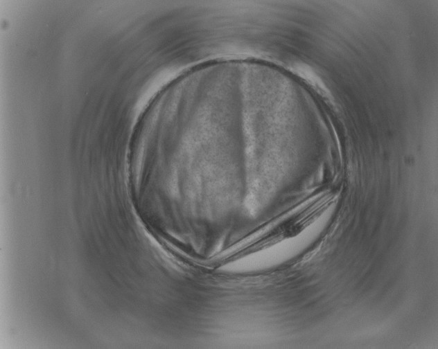 X0000074341183200609152114