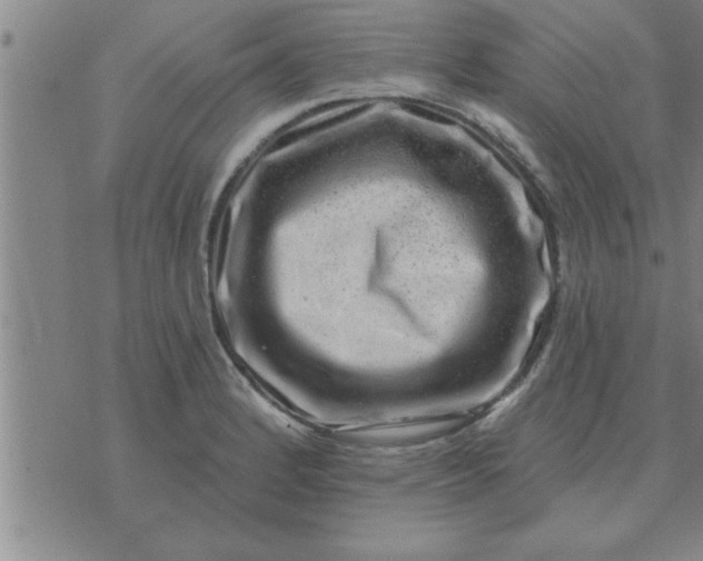 X0000074341184200609152114