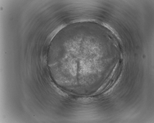 X0000074341185200609152114