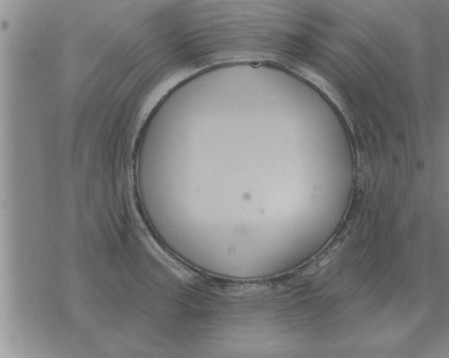 X0000074341187200609152114