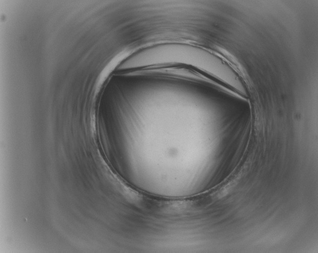 X0000074341188200609152114