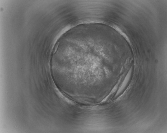 X0000074341189200609152114