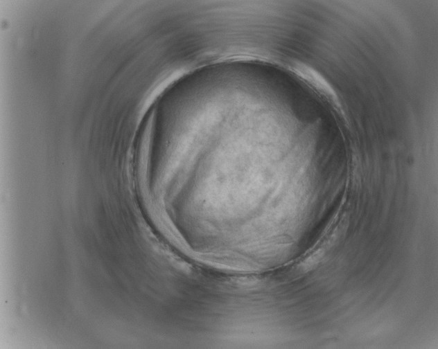 X0000074341190200609152114