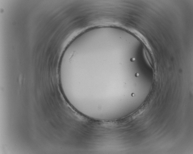 X0000074341191200609152114