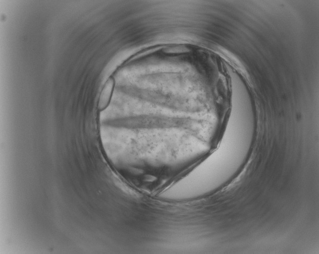 X0000074341192200609152114