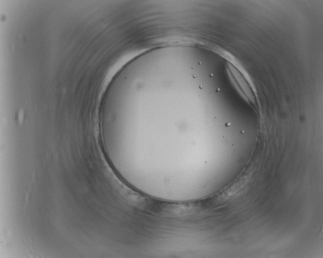 X0000074341195200609152114