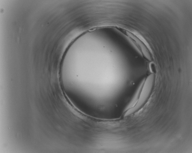 X0000074341197200609152114