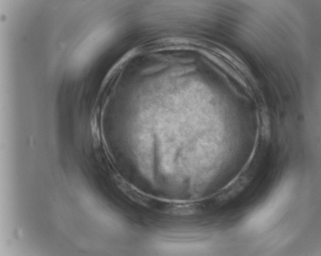 X0000074341198200609152114