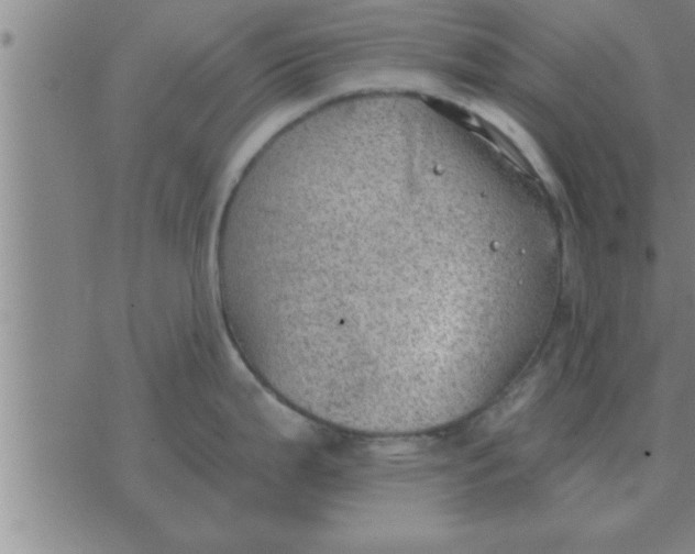 X0000074341199200609152114