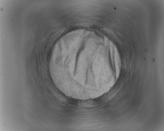 X0000074341201200609152113